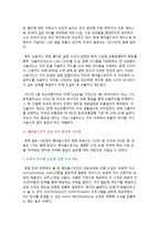 [글로벌경영마케팅사례] 넥슨 NEXON 해외진출 성공전략 및 현지화 마케팅전략 시스템분석 HWP-17