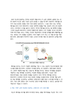 [글로벌경영마케팅사례] 넥슨 NEXON 해외진출 성공전략 및 현지화 마케팅전략 시스템분석 HWP-18