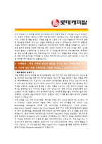 [롯데캐피탈 - 금융] 합격자기소개서-2
