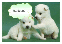 간호사 국가고시 내용 분석 :성인간호학 중심-19