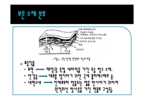 [열역학] 내복의 보온성 연구-12