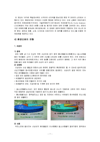 [기업윤리] 환경오염의 규제제도와 기업의 대응전략-7
