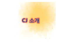 [조직론] CJ조직구조와 조직문화-4