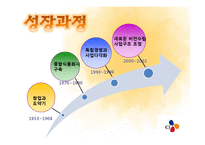 [조직론] CJ조직구조와 조직문화-7