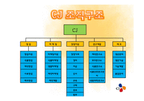 [조직론] CJ조직구조와 조직문화-9