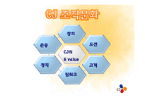 [조직론] CJ조직구조와 조직문화-10