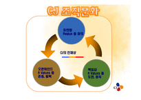 [조직론] CJ조직구조와 조직문화-11