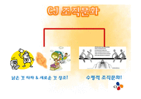 [조직론] CJ조직구조와 조직문화-12