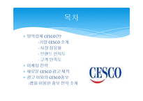 [마케팅] 방역업체 CESCO 마케팅 전략 분석-2