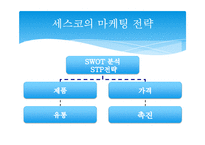 [마케팅] 방역업체 CESCO 마케팅 전략 분석-8