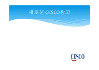 [마케팅] 방역업체 CESCO 마케팅 전략 분석-13