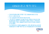 [마케팅] 방역업체 CESCO 마케팅 전략 분석-14