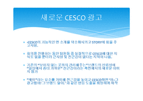 [마케팅] 방역업체 CESCO 마케팅 전략 분석-17
