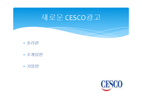 [마케팅] 방역업체 CESCO 마케팅 전략 분석-18
