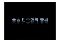 [국제관계] 중동의 민주화-리비아를 중심으로-2