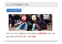 [소비자학] 소비자행동의 이론적 접근-4