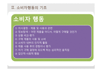 [소비자학] 소비자행동의 이론적 접근-5