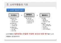 [소비자학] 소비자행동의 이론적 접근-6