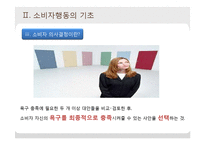 [소비자학] 소비자행동의 이론적 접근-7
