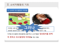 [소비자학] 소비자행동의 이론적 접근-8