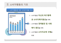 [소비자학] 소비자행동의 이론적 접근-11