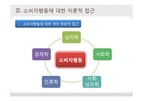 [소비자학] 소비자행동의 이론적 접근-14