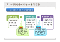 [소비자학] 소비자행동의 이론적 접근-15