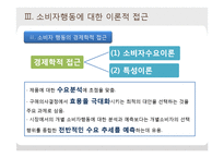 [소비자학] 소비자행동의 이론적 접근-16