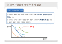 [소비자학] 소비자행동의 이론적 접근-17