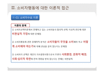 [소비자학] 소비자행동의 이론적 접근-19