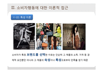[소비자학] 소비자행동의 이론적 접근-20