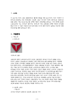 트렉스타 TREKSTA 기업분석및 마케팅전략분석-2
