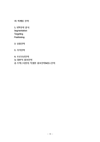 트렉스타 TREKSTA 기업분석및 마케팅전략분석-15