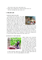[국제사회학] 국제아동노동의 현황과 해결방안 / 아동노동 실태와 문제점 분석-6