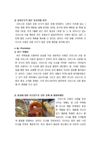 [브랜드 전략 분석] 던킨도너츠 - 브랜드 마케팅전략 4P STP SWOT 분석 시장환경 분석 및 성공요인(hwp)-16