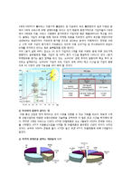 [A+] KT 기업분석 - 핵심전략 마케팅 4P STP SWOT 및 환경분석 성공요인 핵심역량 향후 나아갈 방항 분석-15