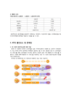 [A+] KT 기업분석 - 핵심전략 마케팅 4P STP SWOT 및 환경분석 성공요인 핵심역량 향후 나아갈 방항 분석-20