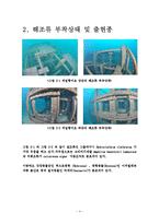 인공어초 시설효과에 관한 보고서(폴리콘어초)-4