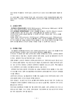 아웃백 마케팅 분석-11