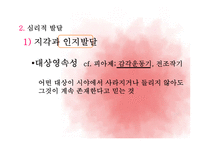 유아기의 발달적 특성-16