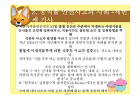 [아동교육] 아동 동식물 안전 교육-6