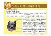 [아동교육] 아동 동식물 안전 교육-12