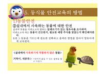 [아동교육] 아동 동식물 안전 교육-13