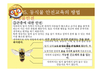 [아동교육] 아동 동식물 안전 교육-14