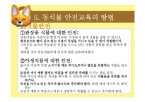 [아동교육] 아동 동식물 안전 교육-16