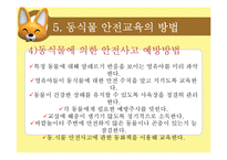 [아동교육] 아동 동식물 안전 교육-20