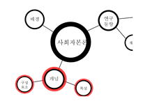 [교육학] 사회자본론(Social Capital Theory)과 교육-5