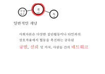 [교육학] 사회자본론(Social Capital Theory)과 교육-6