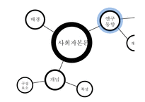 [교육학] 사회자본론(Social Capital Theory)과 교육-11