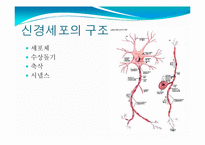뇌, 신경계 및 관련 질병-6